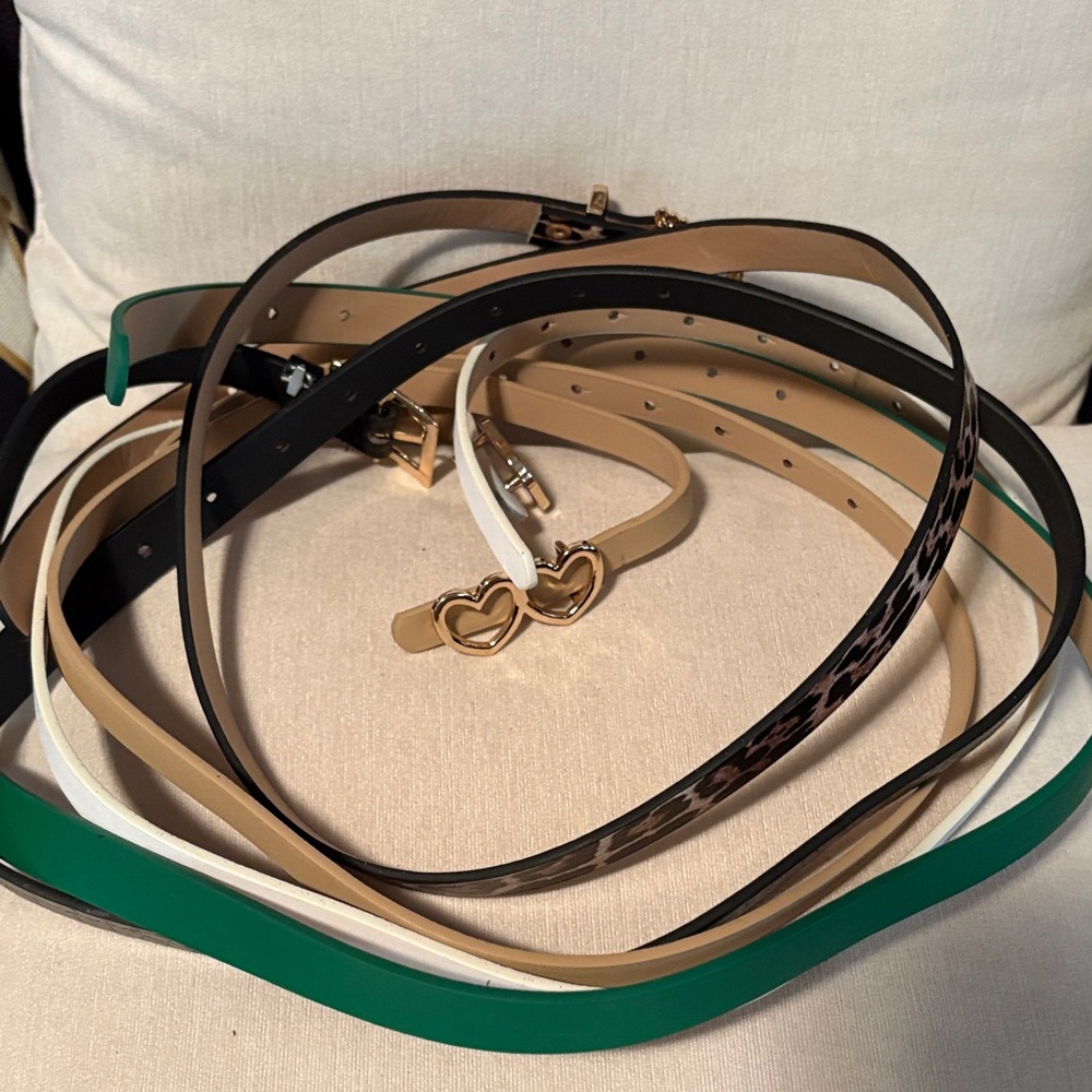 ✨LOT✨New-Stylish Women's Belt Set - Gold, Green, Black, Leopard Print - Picture 3 of 3